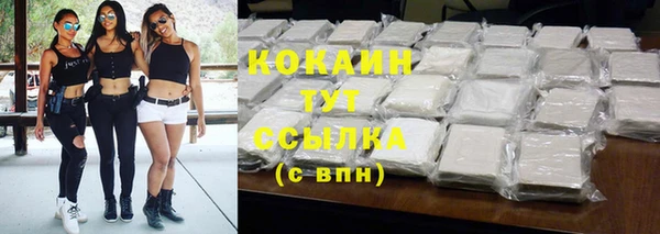PSILOCYBIN Кулебаки