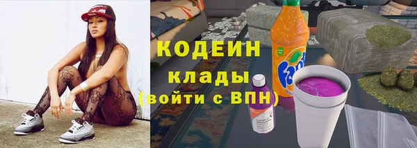 PSILOCYBIN Кулебаки